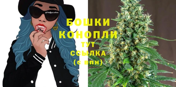 стаф Сосновый Бор